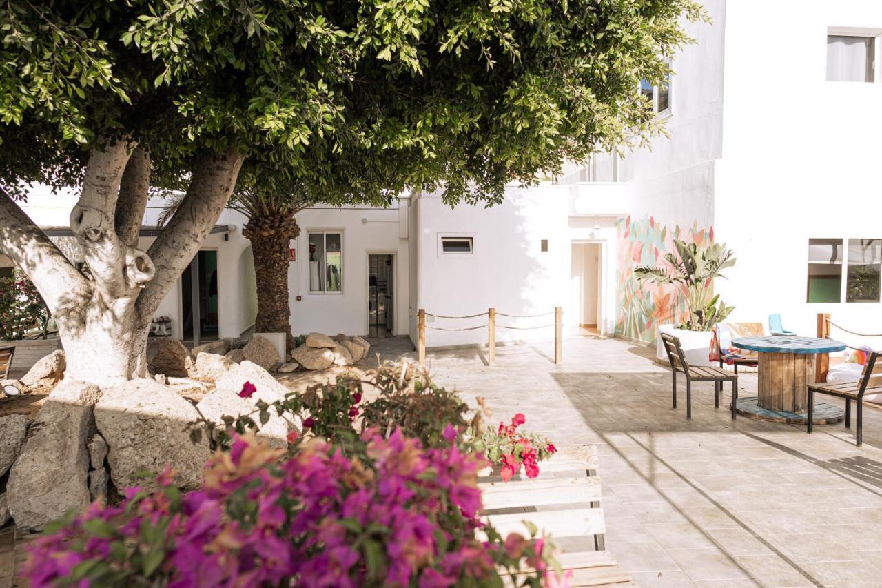 The Tree House Tenerife 엘메다노 외부 사진