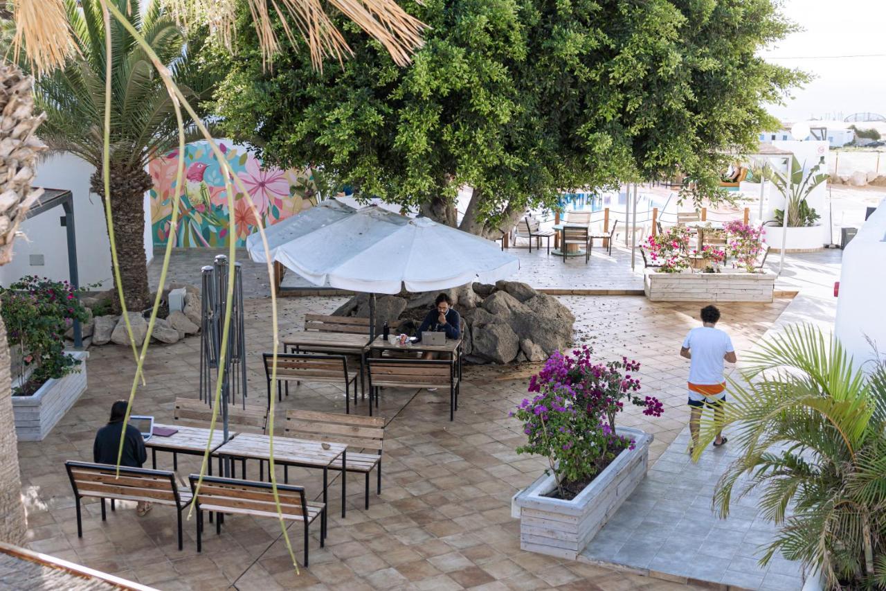 The Tree House Tenerife 엘메다노 외부 사진