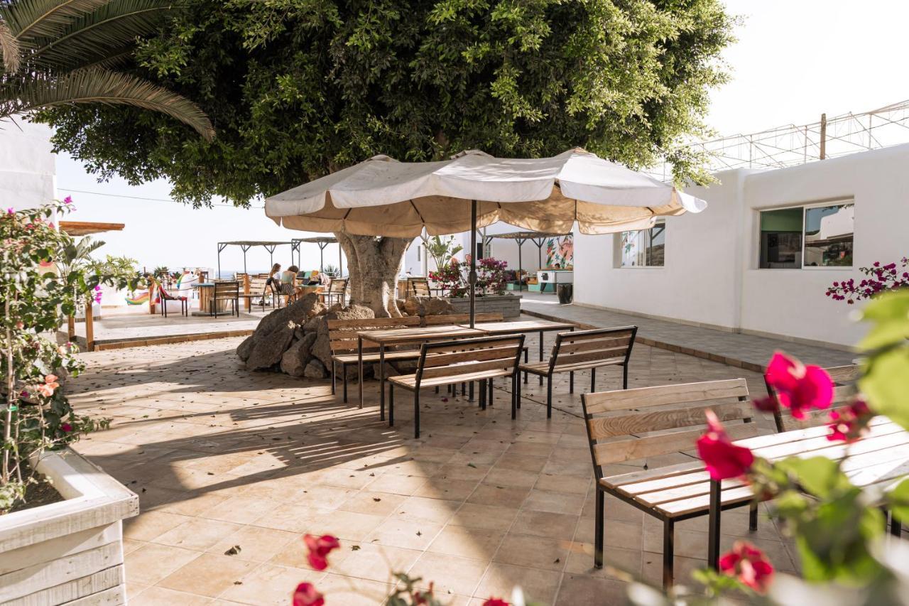 The Tree House Tenerife 엘메다노 외부 사진