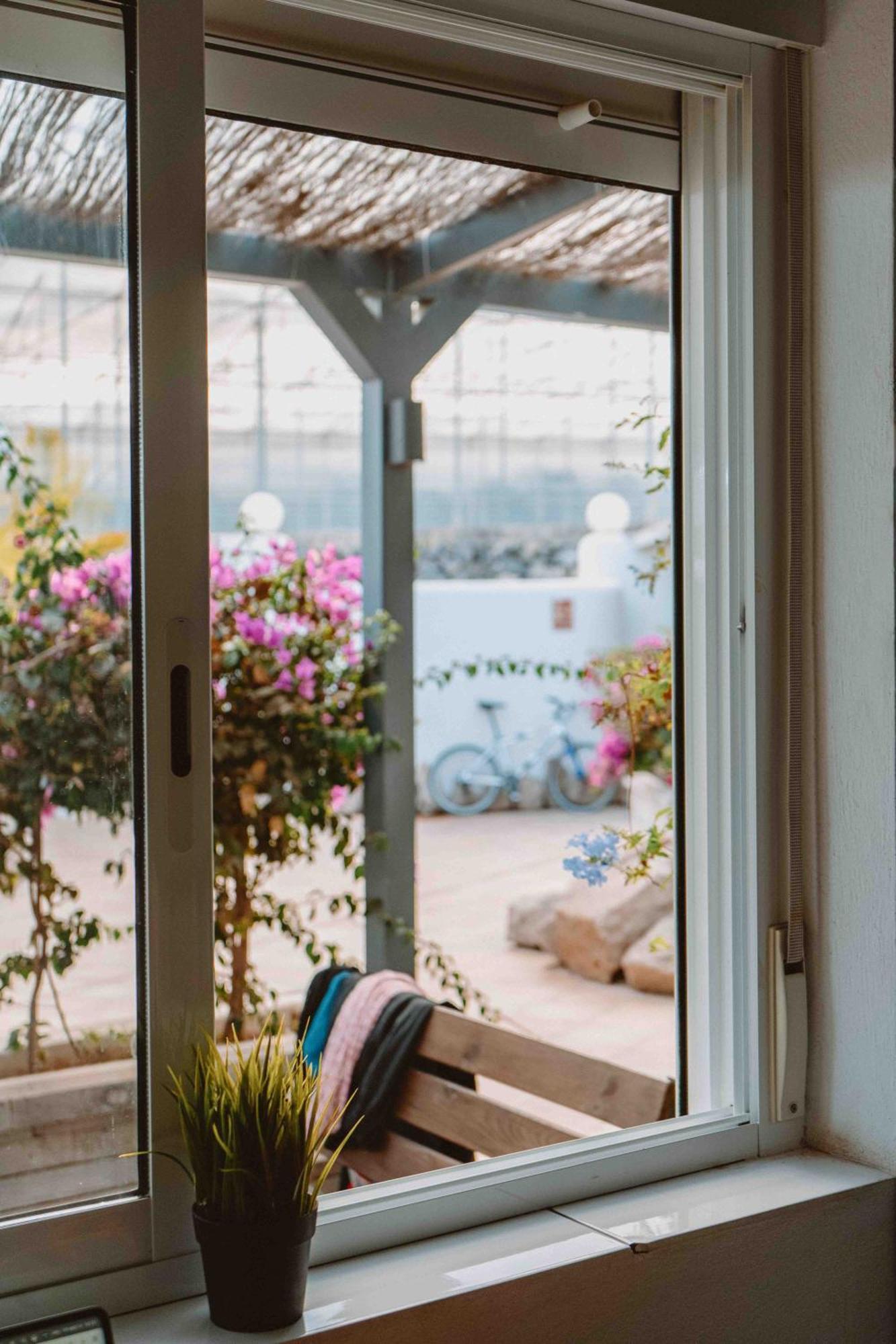 The Tree House Tenerife 엘메다노 외부 사진