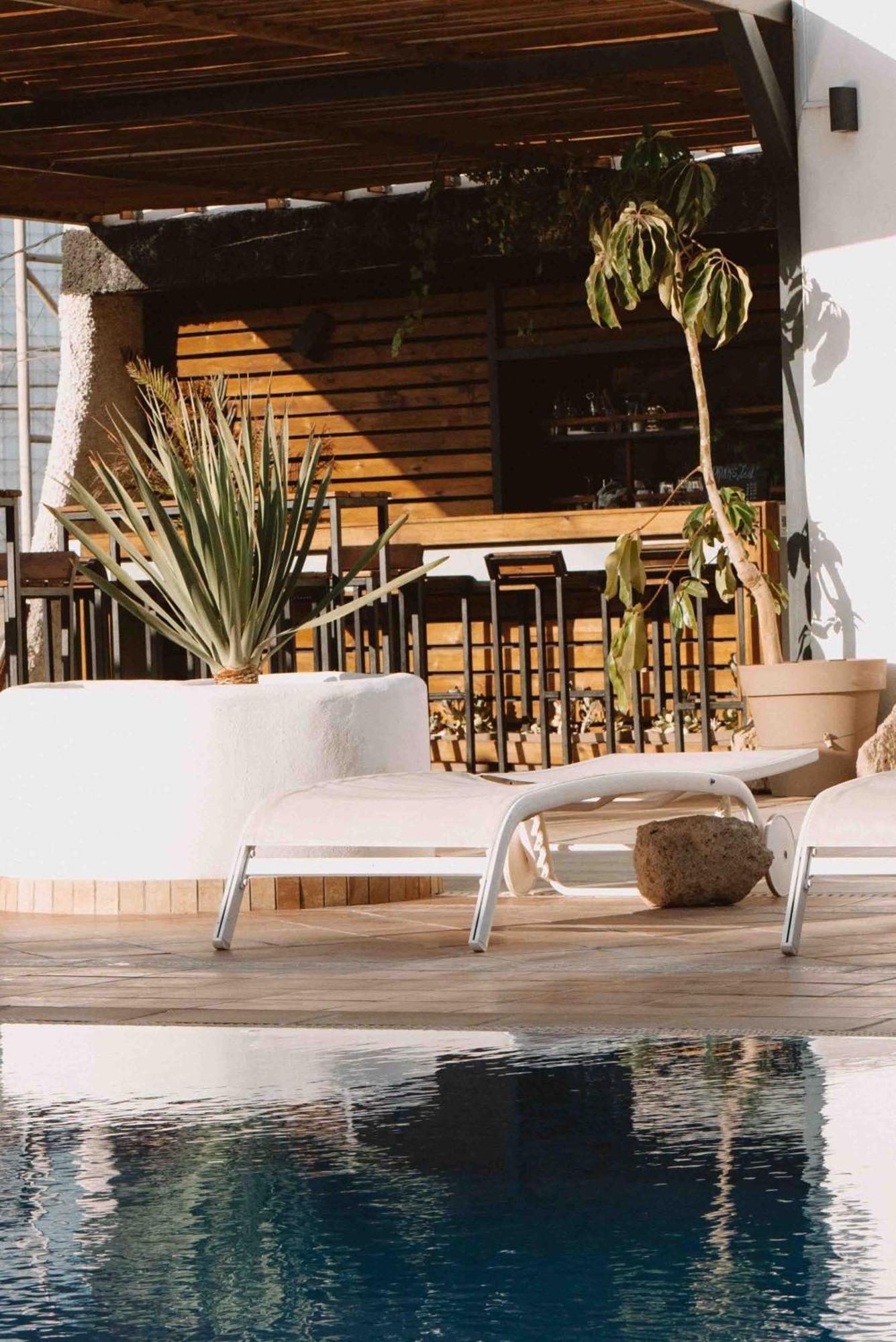 The Tree House Tenerife 엘메다노 외부 사진