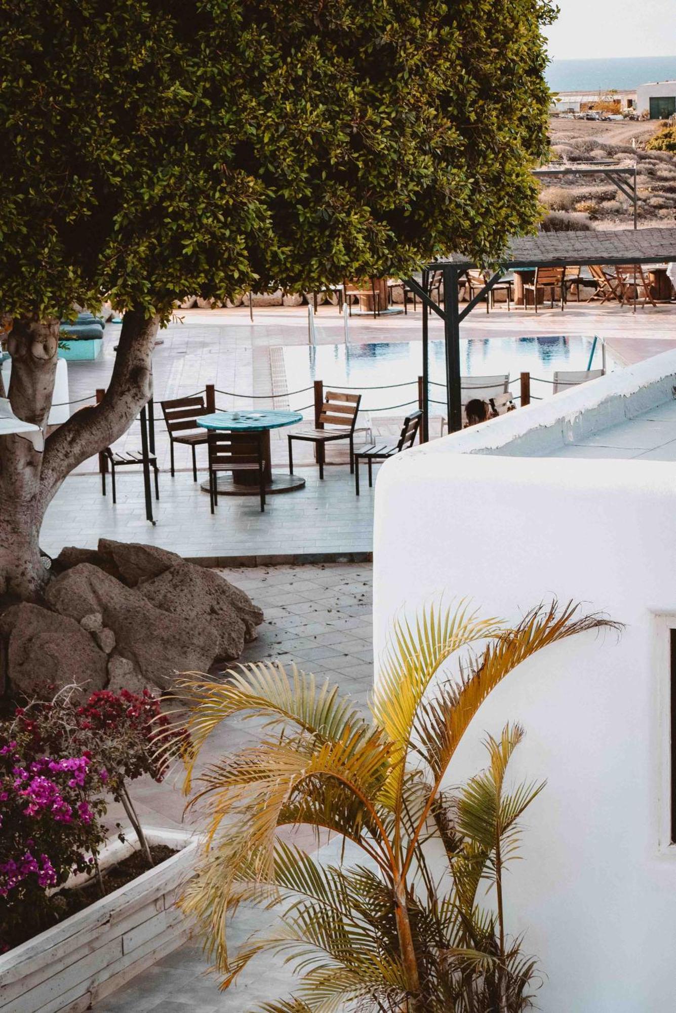 The Tree House Tenerife 엘메다노 외부 사진