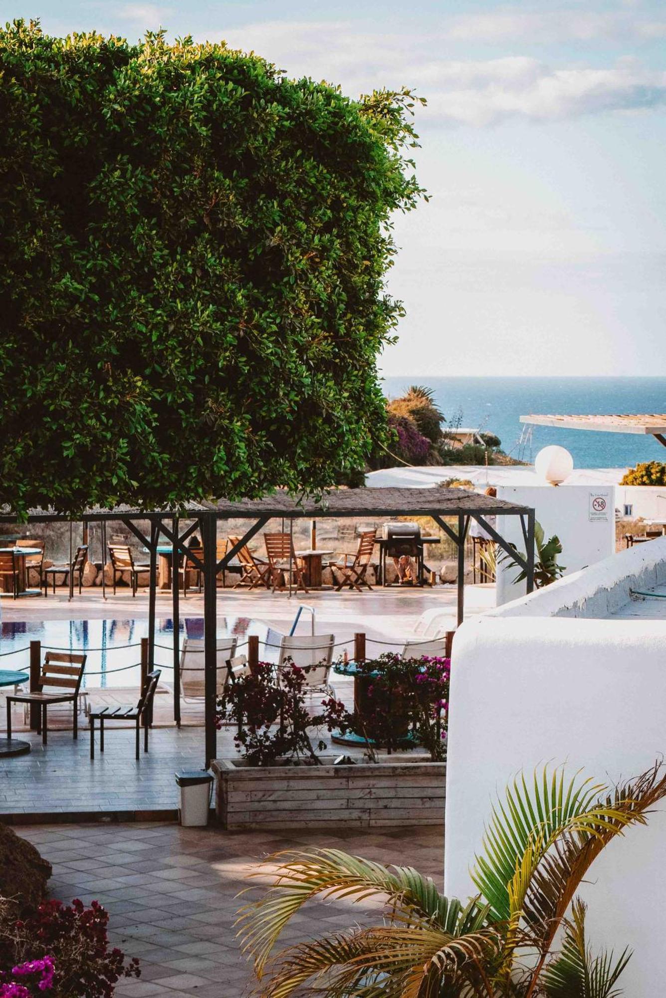 The Tree House Tenerife 엘메다노 외부 사진